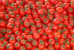 智慧且具有前瞻性的短信轰炸机网页版在线