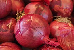 安全防护可靠的短信轰炸在线