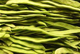 哪里有卖手机号轰炸在线