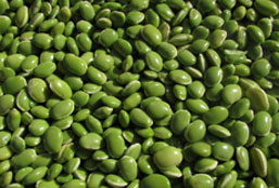 一键环境配置的电话攻击