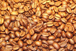 在线短信网页版免费版